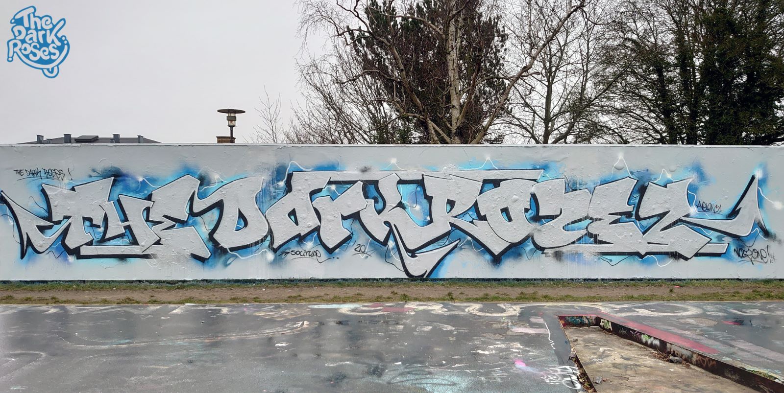 The Dark Roses. For Solitude made by Avelon 31 and Noiz - TDR - Næstved, Denmark 18. March 2020